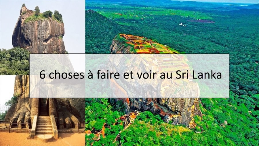 6 choses à faire et voir au Sri Lanka