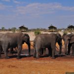 voyage safari au Botswana avec un bébé