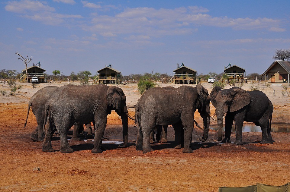 voyage safari au Botswana avec un bébé