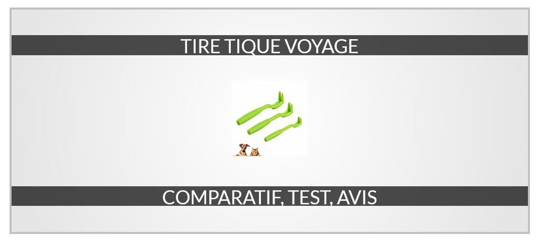 meilleur tire tique de voyage