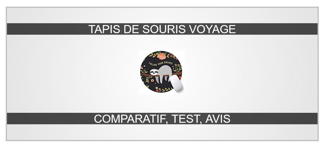 tapis de souris de voyage