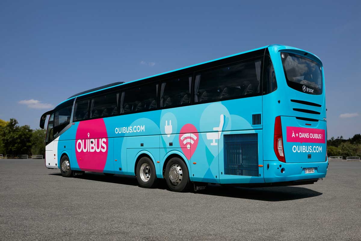 Ouibus avis